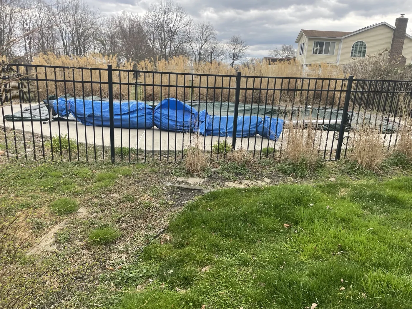 Cleanup before image