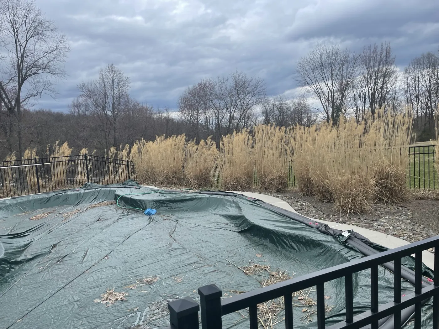 Cleanup before image