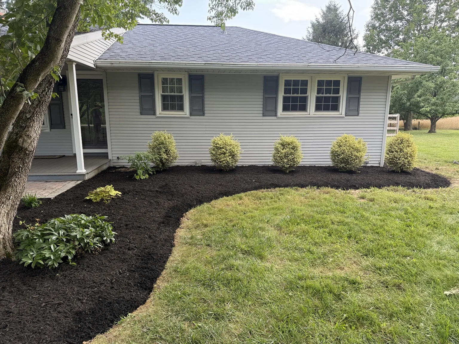 Side foundation bed after cleanup