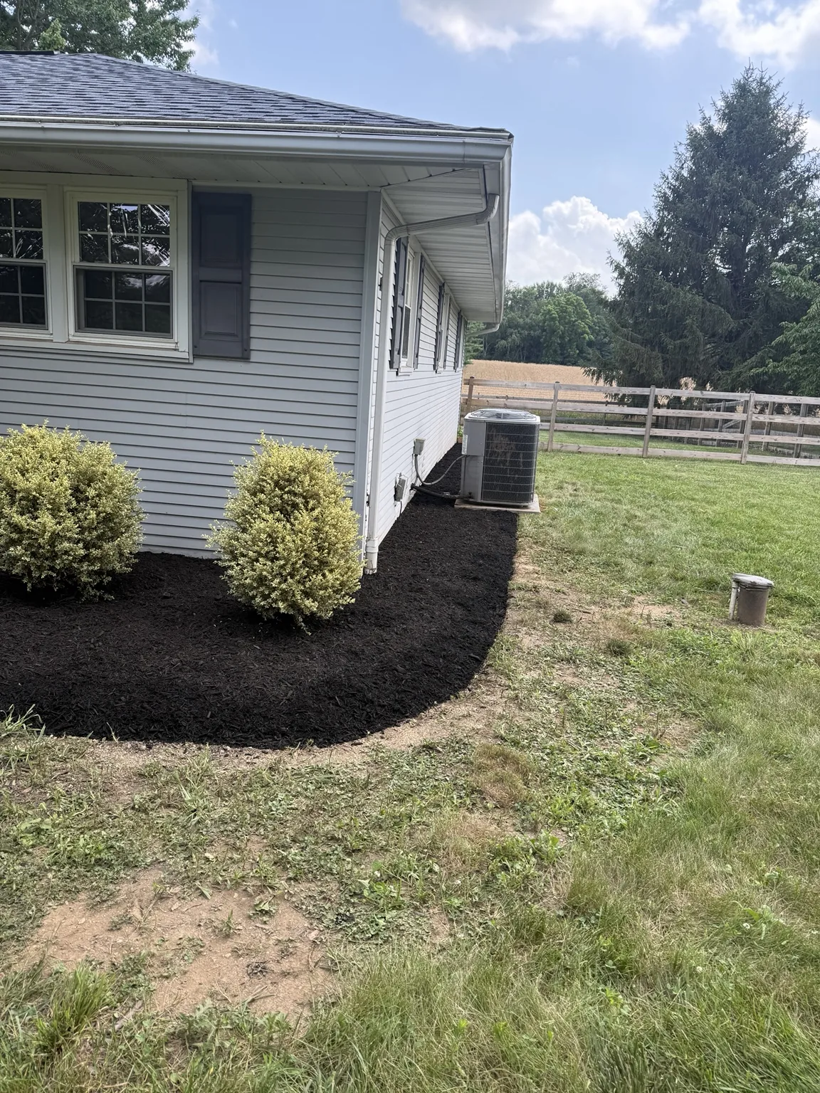 Fresh black mulch around foundation