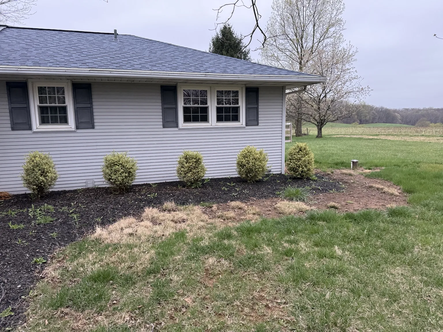 Side bed before mulch installation