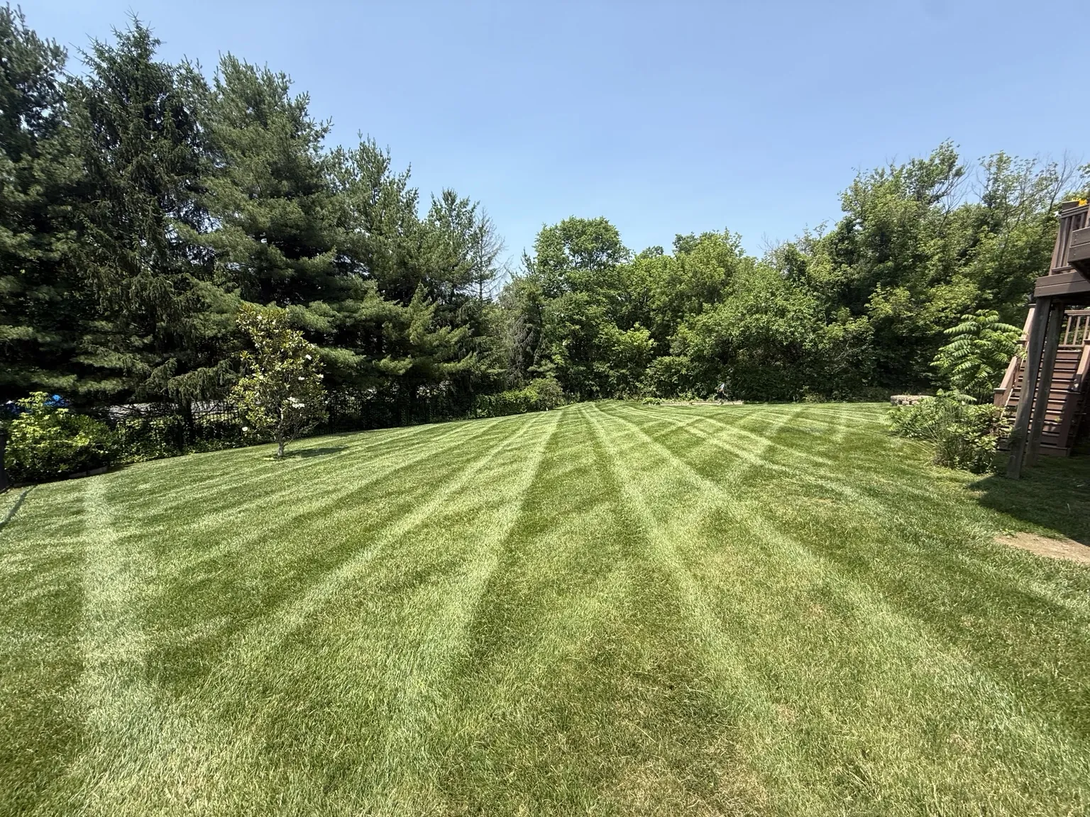 Striped residential lawn