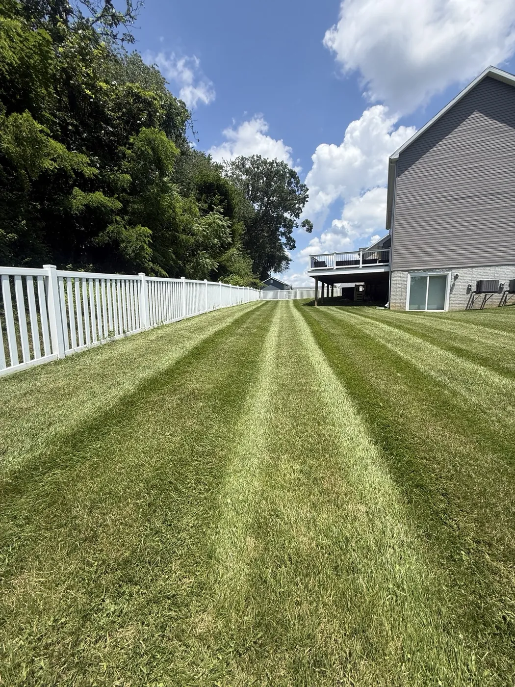 Backyard stripes