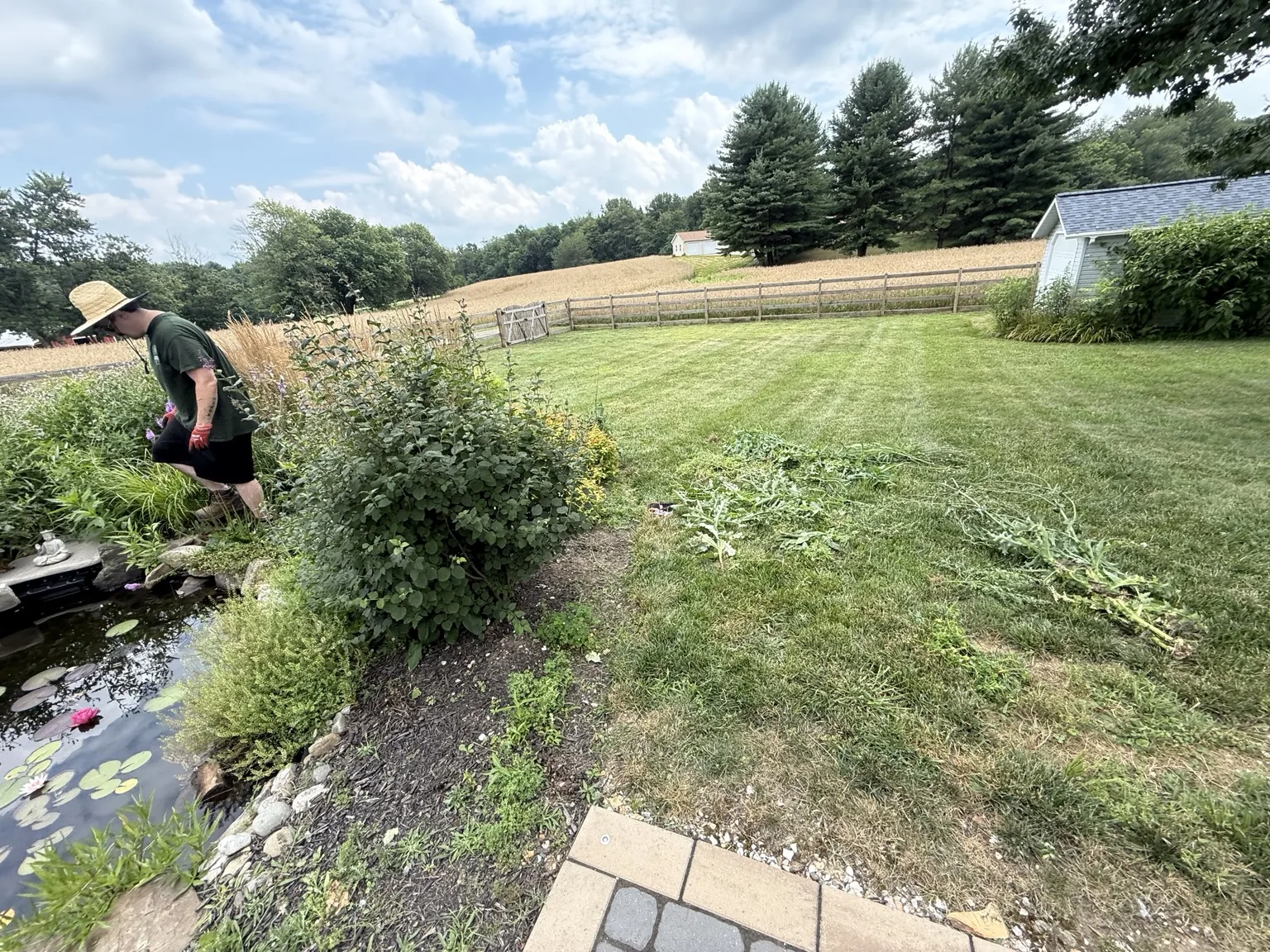 Overgrown pond edge before cleanup