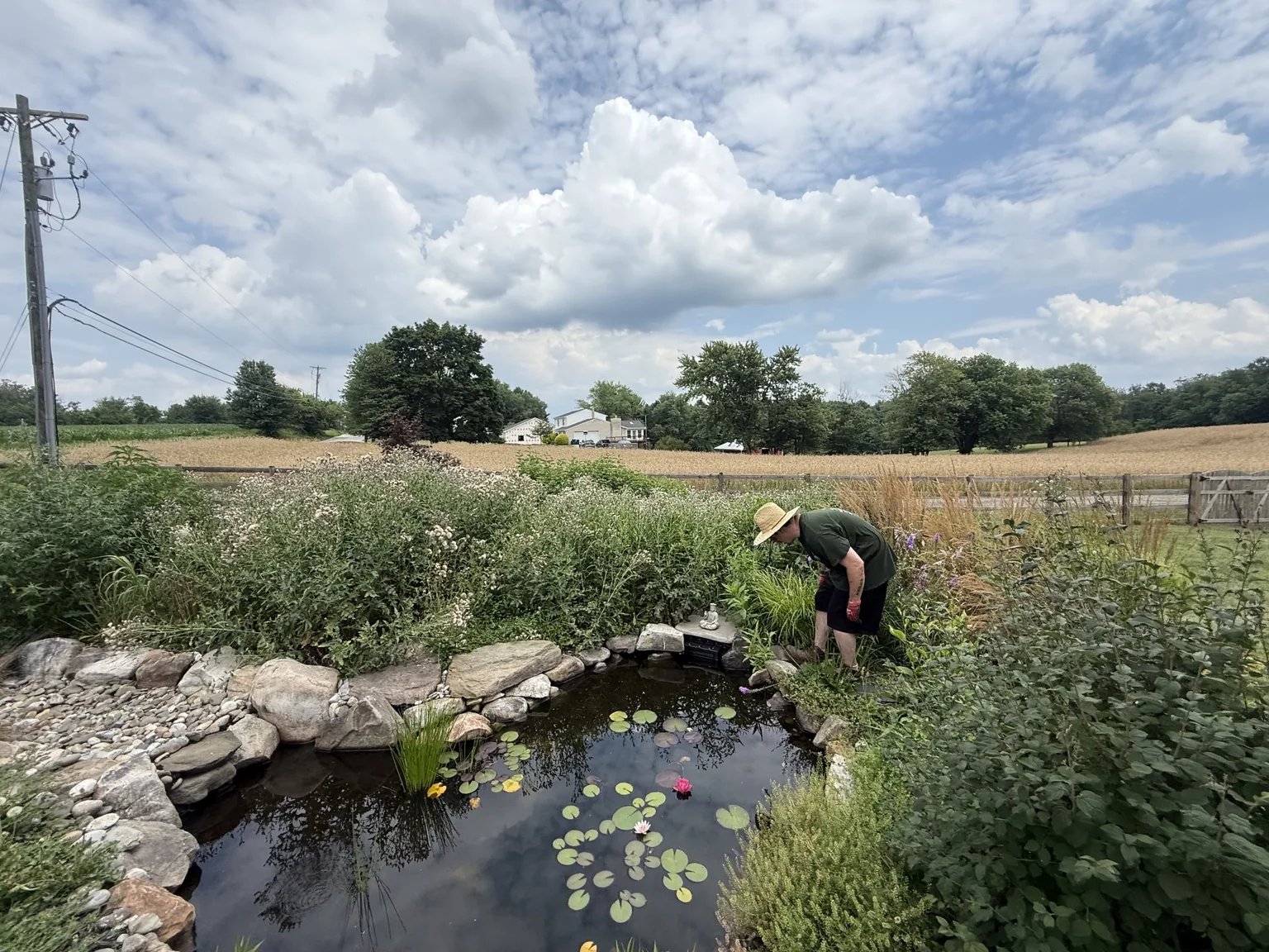 Pond cleanup in progress