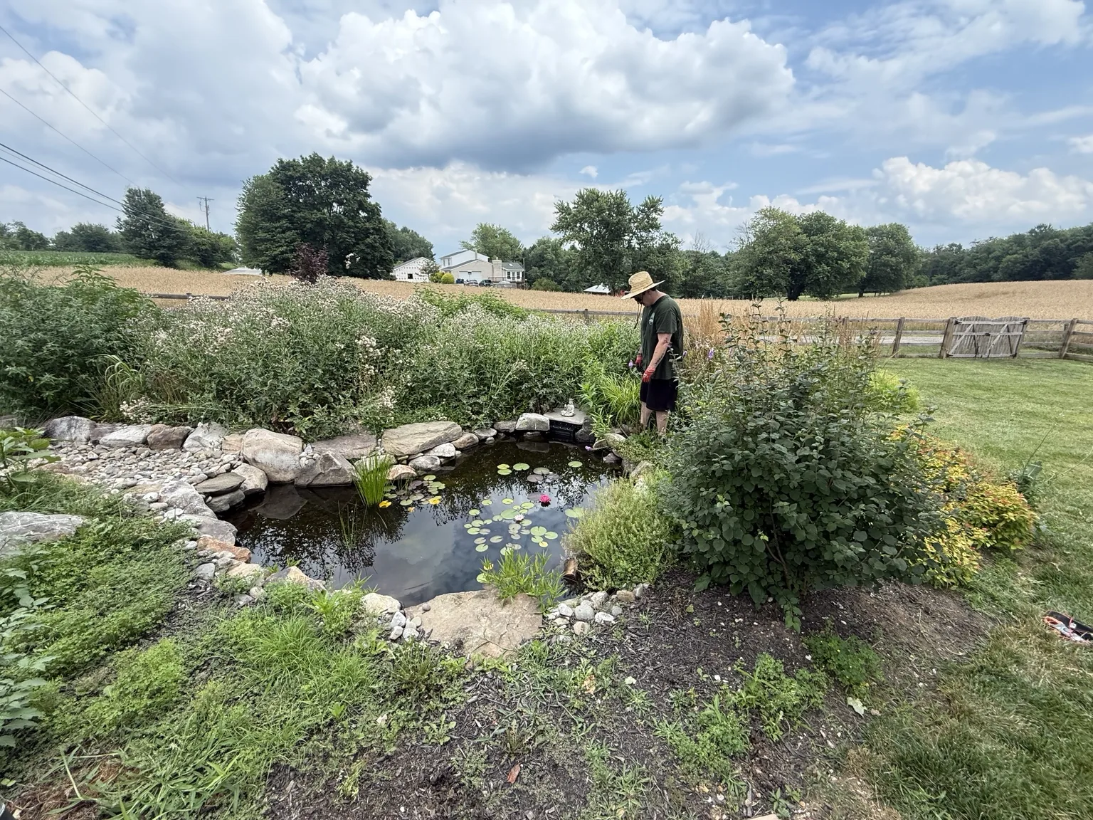 Landscape work around pond in progress