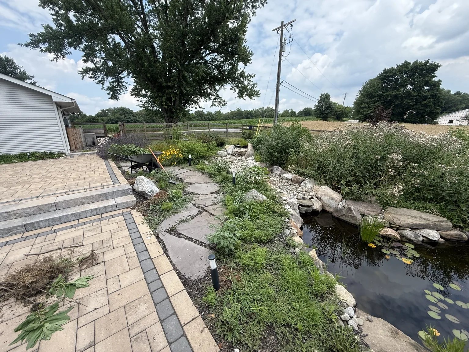 Path and pond edge cleanup in progress